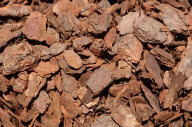 Pine Bark Mulch